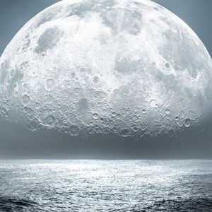 Meet your Posher, Lilia